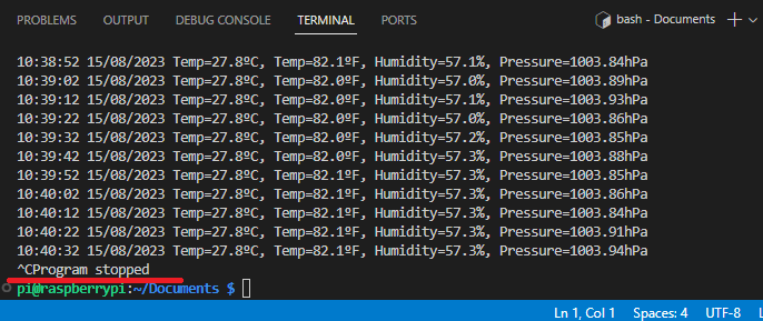 Raspberry Pi VS Code Stop Python program
